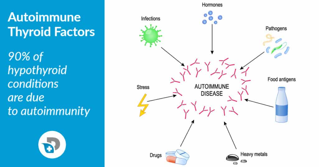 thyroid autoimmunity factors