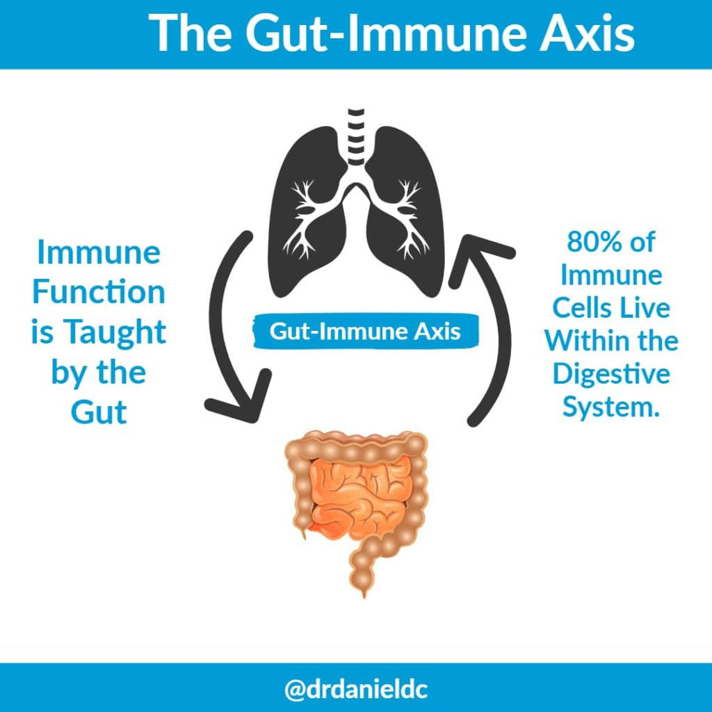 Gut-Immune-functional medicine