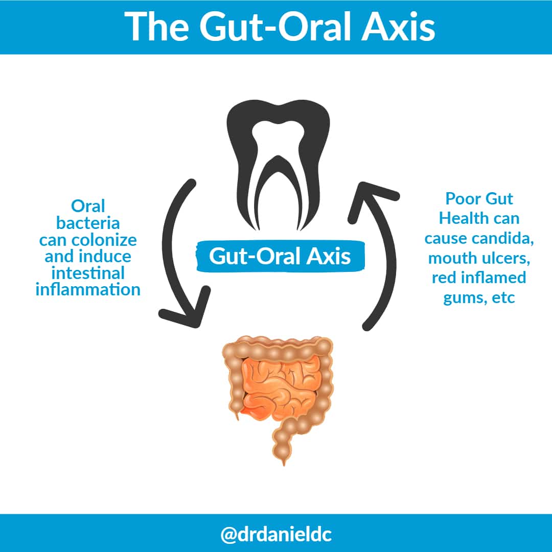 Why Your Digestive System is Where Health Begins Dr. Daniel