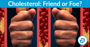 cholesterol friend or foe