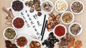Traditional-Chinese-Medicne-Herbs