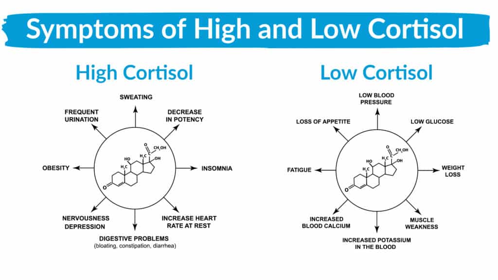 Symptoms of High and Low Cortisol