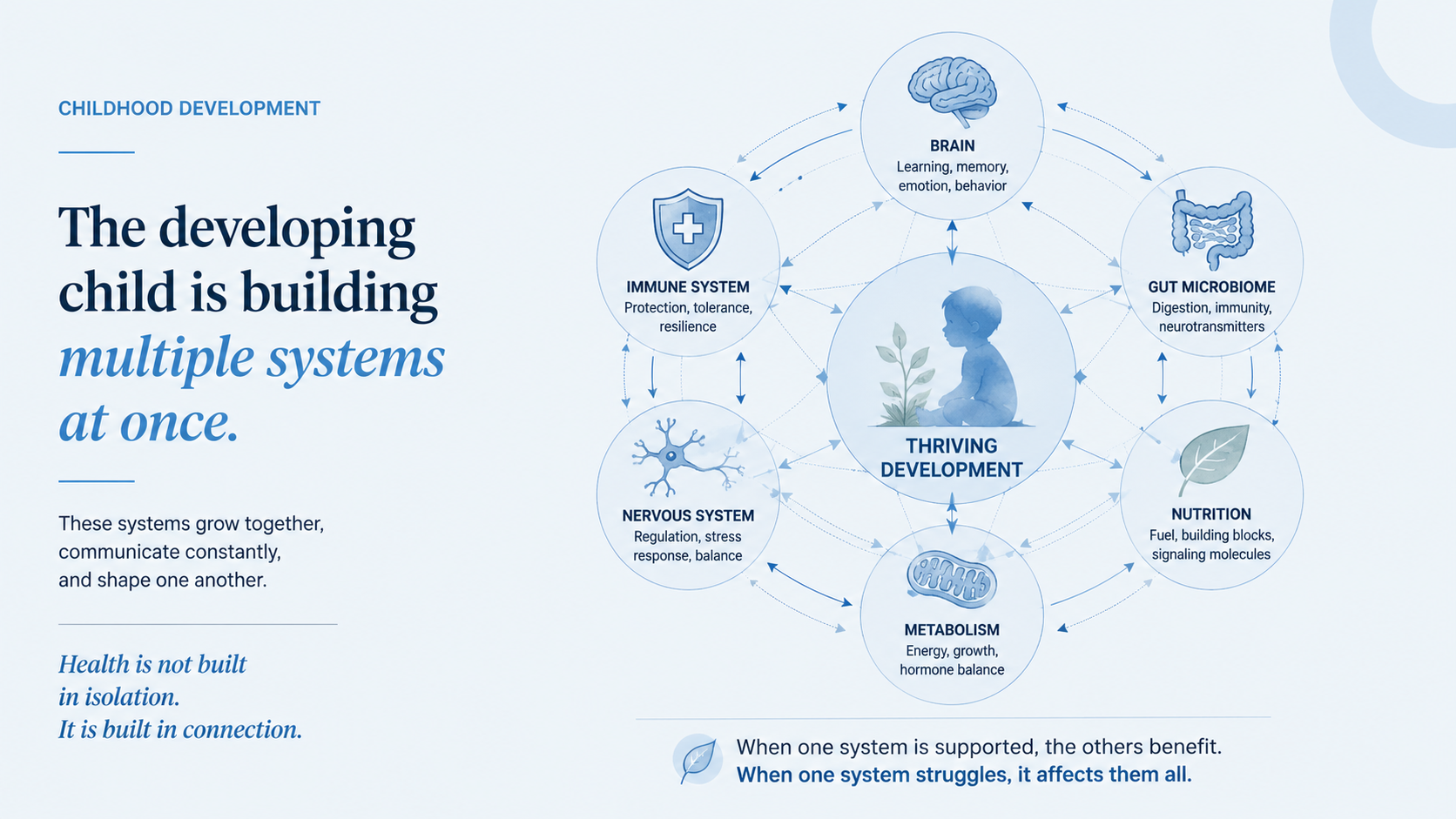 The developing child is building multiple systems at once: brain, immune system, gut microbiome, nervous system, nutrition, and metabolism all growing together