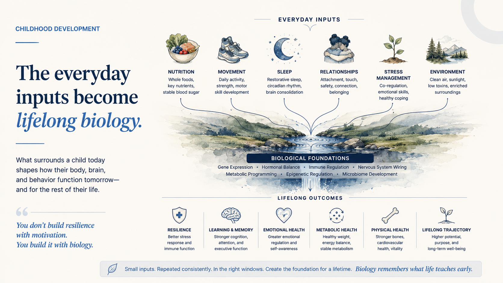 Everyday inputs like nutrition, movement, sleep, relationships, stress management, and environment become lifelong biology