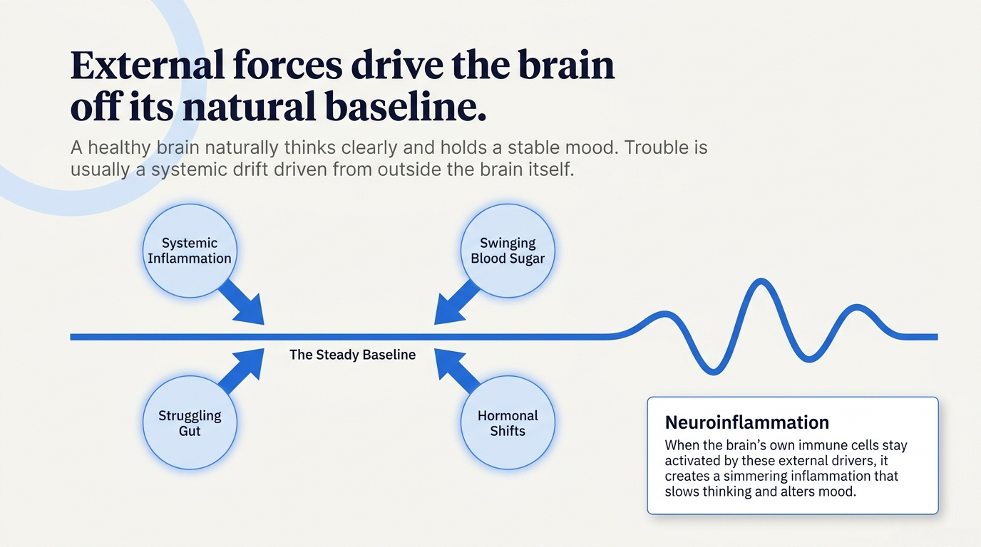 External forces that drive the brain off its natural baseline: inflammation, blood sugar, gut, and hormones