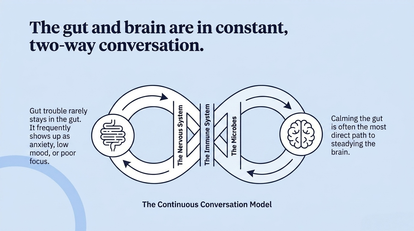 The gut and brain are in constant, two-way conversation