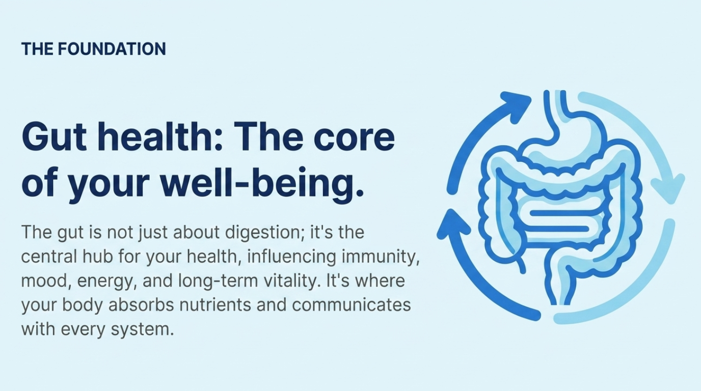 The foundation: gut health is the core of your well-being, influencing immunity, mood, energy, and vitality