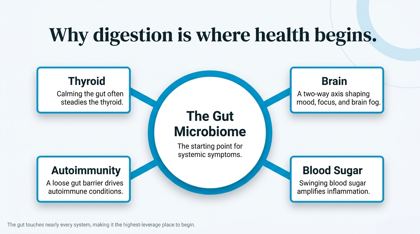 The gut microbiome as the central hub connecting to thyroid, brain, autoimmunity, and blood sugar