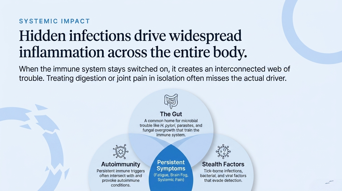 Hidden infections drive widespread inflammation across the entire body