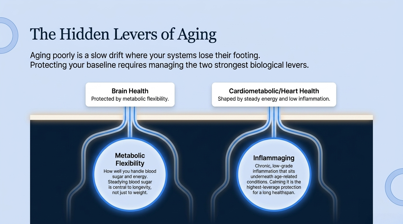 Metabolic flexibility and inflammaging are the two hidden levers of aging that protect brain and heart health
